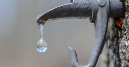 Woda klonowa. Naturalny elektrolit z dużą dawką potasu