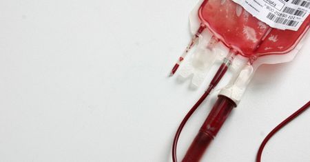 Komputer zasilany "elektroniczną krwią"