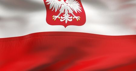 Znieważanie flagi w internecie