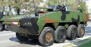 Polski transporter opancerzony Rosomak poległ! Zniszczyli go urzędnicy
