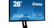 Kolejny na rynku monitor 4K - iiyama B2888USHU