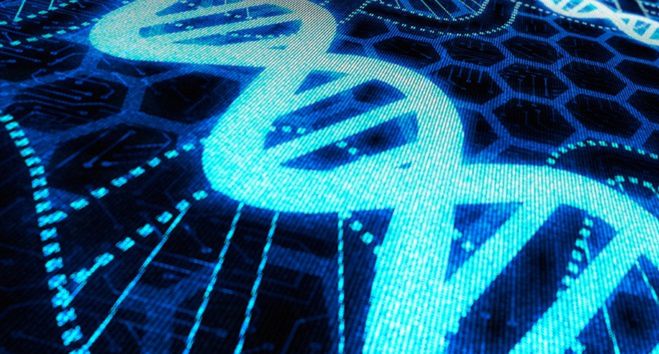Programowanie genetyczne: Ewolucja kodu