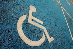 MSW chce zaostrzenia kar m.in. za parkowanie na "kopercie"