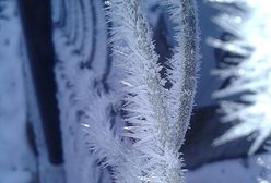 Na Białorusi zima wyrządziła szkody