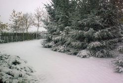 IMGW przewiduje: na śnieg jeszcze poczekamy