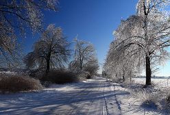 Prognoza pogody na 14 i 15 lutego