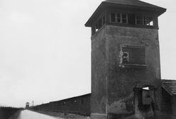 Niemcy: po protestach producent wycofał ze sprzedaży puzzle o KL Dachau