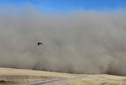 Burza piaskowa w Teheranie zabiła 4 osoby