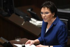 Wiesław Dębski dla WP.PL: Mocne słowa Kopacz. Tusk się zdziwił i uniósł brwi