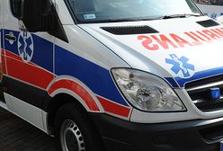 Polowanie na dziki. Ofiarą 63-letni mężczyzna