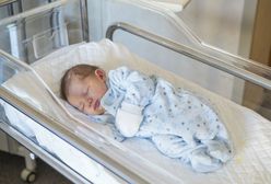 Łukasz Warzecha: chcą in vitro? Niech płacą sami!