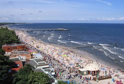 Pierwsze w tym roku sinice już zakwitły. Które kąpieliska są zamknięte w Trójmieście?