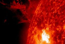 Mnóstwo plam na Słońcu