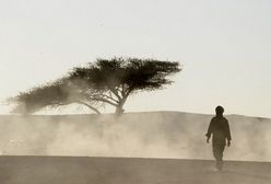 Niger: co najmniej 35 emigrantów zmarło z pragnienia na pustyni
