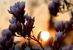 Do kraju wróci słońce - prognoza pogody na 20 i 21 marca