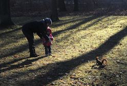 Prognoza pogody na 2 i 3 stycznia