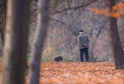 Koniec lata, rozpoczynamy marsz ku zimie