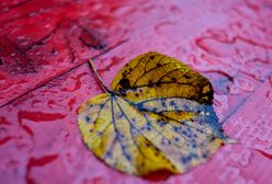 Będzie nieprzyjemnie - prognoza pogody na 20 i 21 września