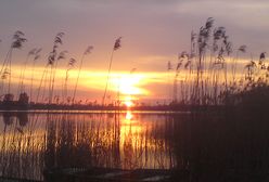 Dziś najkrótsza noc w roku - początek astronomicznego lata