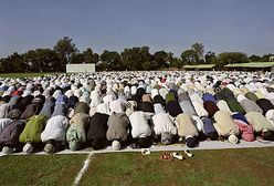 To "koń trojański" w Europie? Sami dajemy im broń do ręki