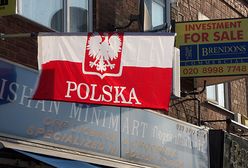 Polacy kłócą się o patriotyzm, także na emigracji