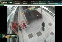 Polacy to profesjonaliści, okradają po mistrzowsku