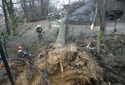 5 osób rannych, powalone drzewa, uszkodzone domy