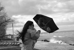 Silny wiatr może łamać drzewa i zrywać linie energetyczne