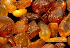 Przemycała 74 kg bursztynu - nie zgadniesz, po co