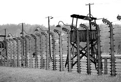 "Polskie obozy koncentracyjne" w niemieckim podręczniku