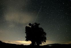 Astronom: można już dostrzec pierwsze meteory z roju Perseidów