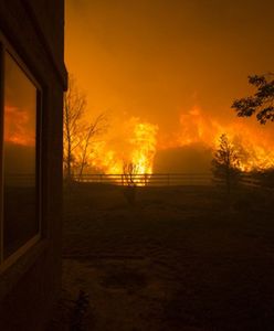 Gigantyczne pożary lasów w Kalifornii