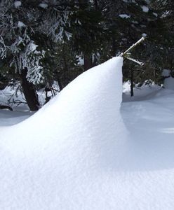 Prognoza pogody na 14 i 15 marca