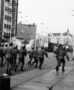 Wigilijne narodziny ZOMO