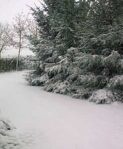 IMGW przewiduje: na śnieg jeszcze poczekamy
