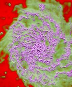 Oddziaływanie gwiazd powoduje, że galaktyki są mniej masywne