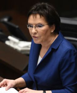 Wiesław Dębski dla WP.PL: Mocne słowa Kopacz. Tusk się zdziwił i uniósł brwi