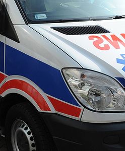 Polowanie na dziki. Ofiarą 63-letni mężczyzna