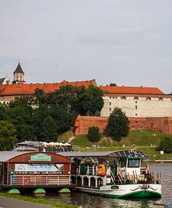 Więcej zieleni w Krakowie