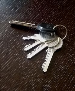 Działki za bezcen w Rudzie Śląskiej. Miasto szykuje wyprzedaż gruntów