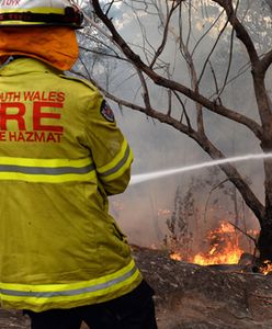 Pożary buszu to skutek suchego australijskiego klimatu