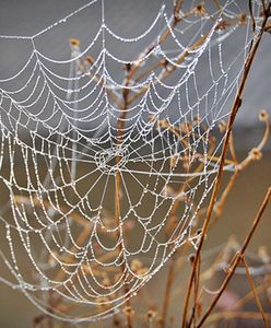 Prognoza pogody na 1 i 2 grudnia