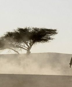 Ciała 87 osób na pustyni. Zmarli z pragnienia...