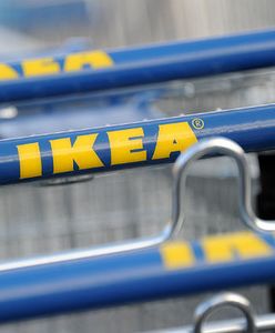 Trzej szefowie firmy Ikea we Francji oskarżeni o szpiegowanie