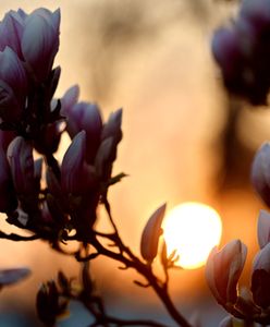 Do kraju wróci słońce - prognoza pogody na 20 i 21 marca