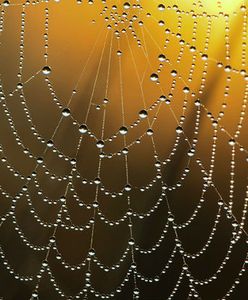 To już koniec lata? - prognoza pogody na 23 i 24 sierpnia