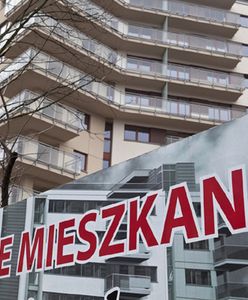 Zamknięte osiedla - strefa bezpieczeństwa czy problem dla miast?