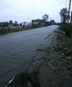Woda z "cofki" wdziera się do gospodarstw na Żuławach