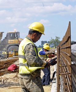 Najazd polskich pracowników sezonowych na Holandię