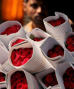 450 milionów róż na walentynki